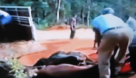 Naxal-ANF shoo...